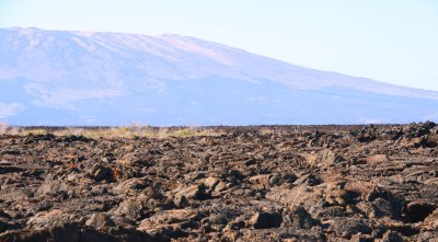 The lava field below the Volcan Sierra Negro, Punta Moreno-Isabela, Galapagos