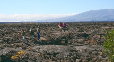 The lava field below the Volcan Sierra Negro, Punta Moreno-Isabela, Galapagos