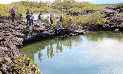 The tidal lagoon on the edge of the lava field, Punta Moreno-Isabela, Galapagos