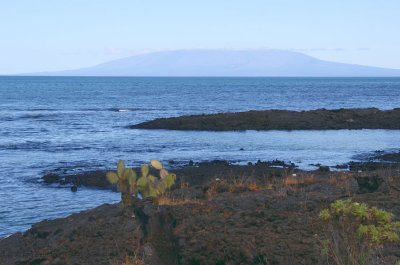 Fernandina from Punta Moreno, Isabela, Galapgos