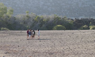 On Punta Tortuga Negra beach, Isabela, Galapagos