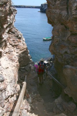 The Prince Philip Steps, Genovesa, Galapagos