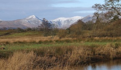 The Luss Hills from the Loch Lomond NNR