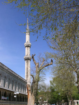 One of the six minarets of the Blue Mosque, Istanbul