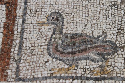 Mosaic floor at Ephesus
