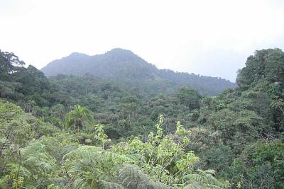 Bakossi Mountains