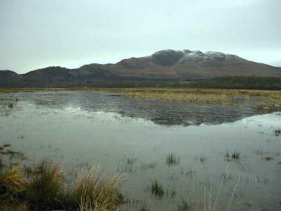 Winter floods on the Crom Mhin marsh