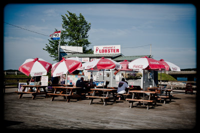 Lobster feed, Wiscasset 