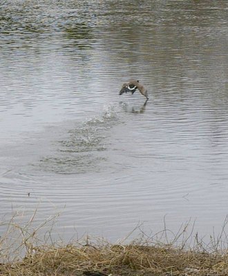 Take Off