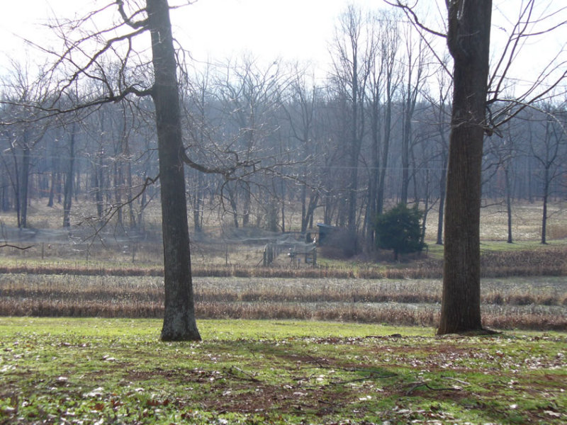 landscape1