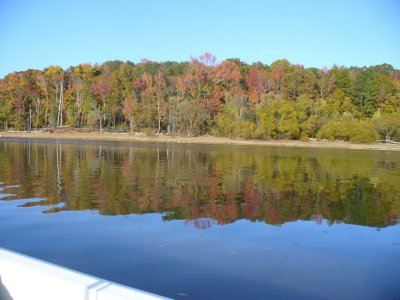 P1030750lake11-11.jpg