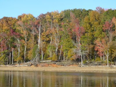 P1030751lake11-11.jpg