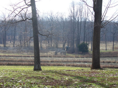 landscape1