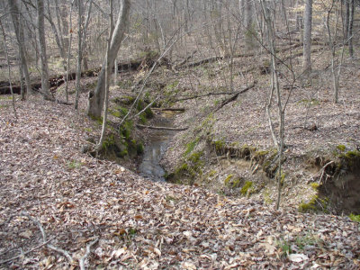 P1030845PORFRM3-12.jpg