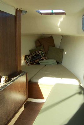 picaquarius23104c.jpg