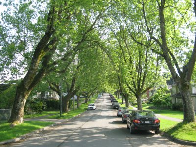 Gladstone Street near Trout Lake, East Vancouver
