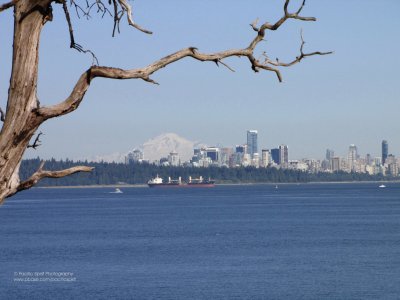 City on the edge of wilderness