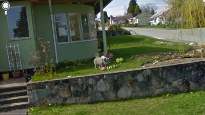 Pigs like to celebrate Easter - unless they are roasted - in New Westminster, Canada