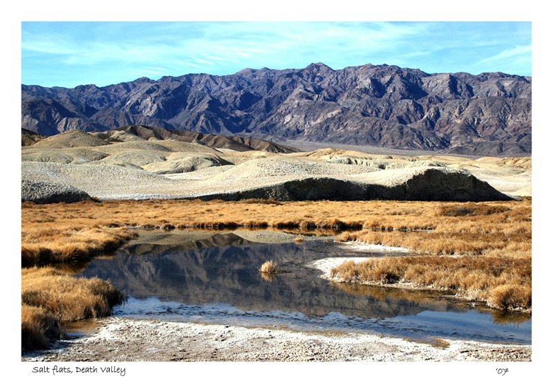 Mesquite Flat  Salt Creek