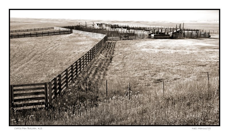 Cattle pen, Bazaar, KS