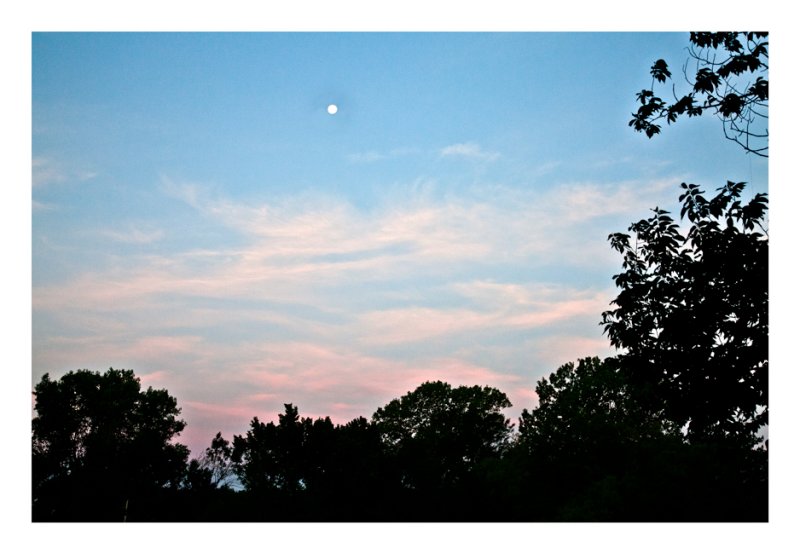 Full moon,  morning sky