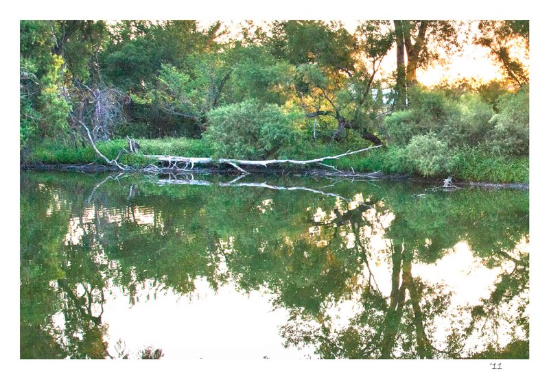Dead calm morning