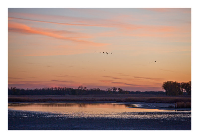 Daybreak,Quivira wetlands