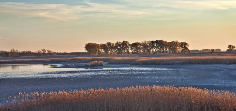 Wetland view