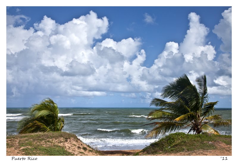 Windy day