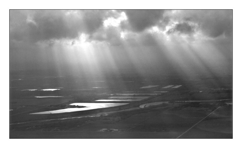 Rays