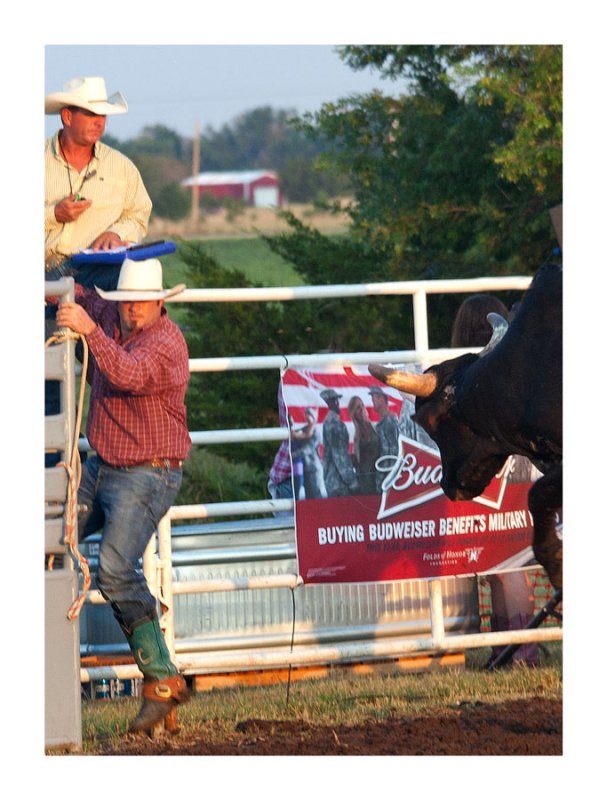 Jumping for the fence