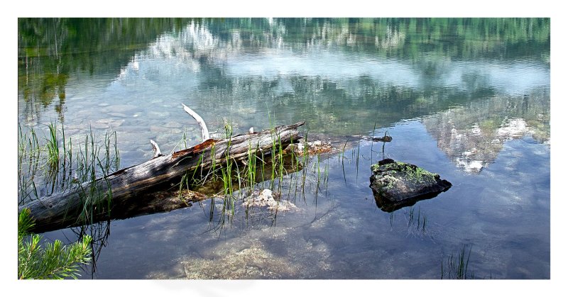 Reflections, Grand Teton N.P.