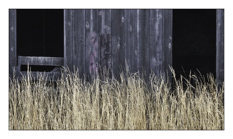 Neglected Stable