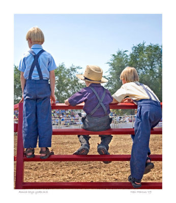 Amish boys