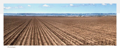 Furrows