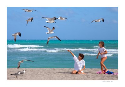 Children and  Gulls 