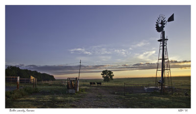 Morning on the farm