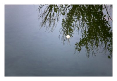 Moon on the lake