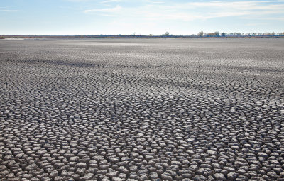 Effects from severe drought