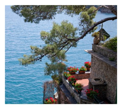 Waterfront vista, Portofino