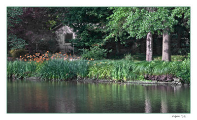 Late afternoon,  Bartlett  Arboretum