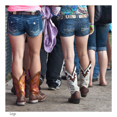 Sedgwick County Fair Cheney, KS