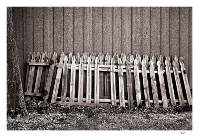 Discarded picket fence