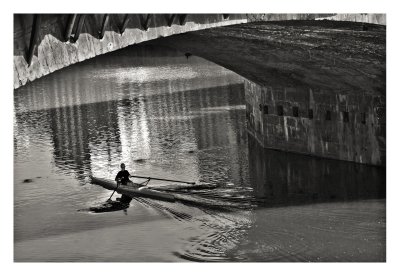 Sculling the Arno