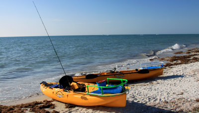 Sea Kayaks.jpg