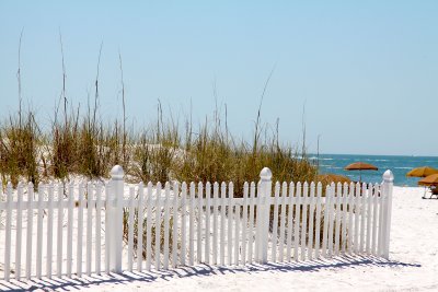 which turtle broke the little white fence.jpg