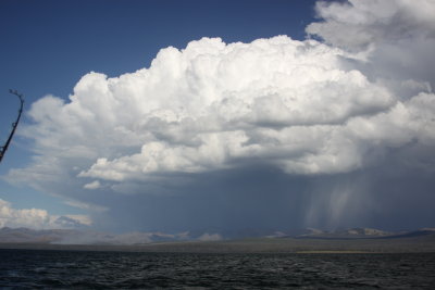 Yellowstone Fishing Trip 2011