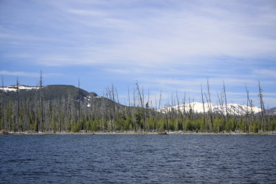 IMG_4172.JPG