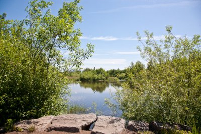 Another Bike Ride -- Graveyard and Wetlands! June 17 '11