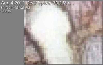 Aug 4 2011 Deck Spider 30D Macro-013-3.jpg